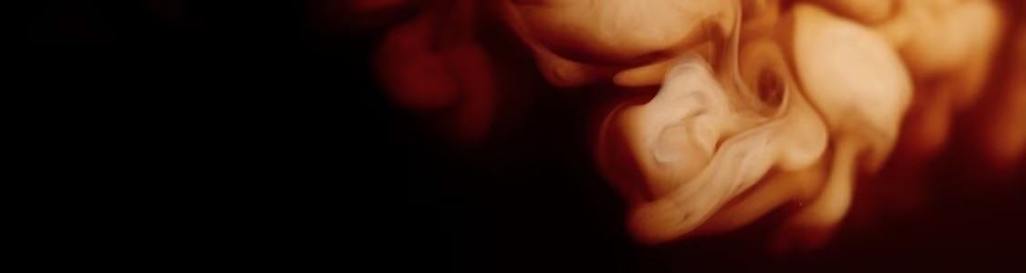 PROMOVERPAKKINGEN banner