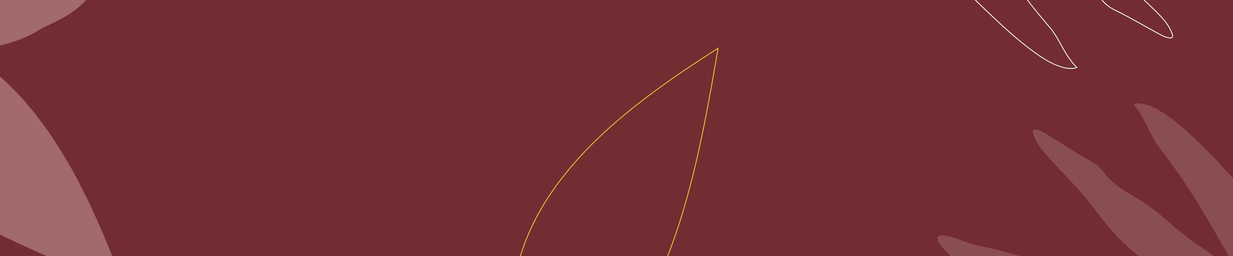 NEO CHOCOLAT banner