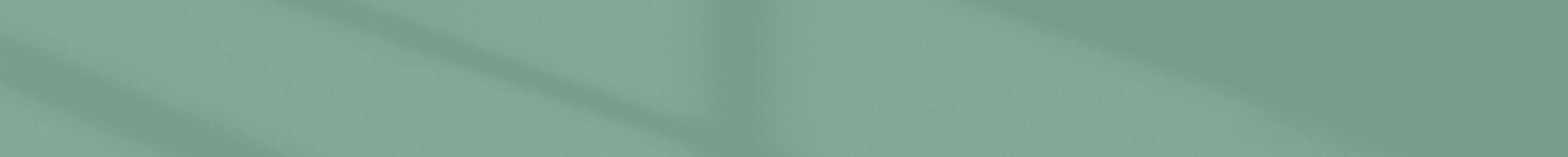 SPECIAL T banner