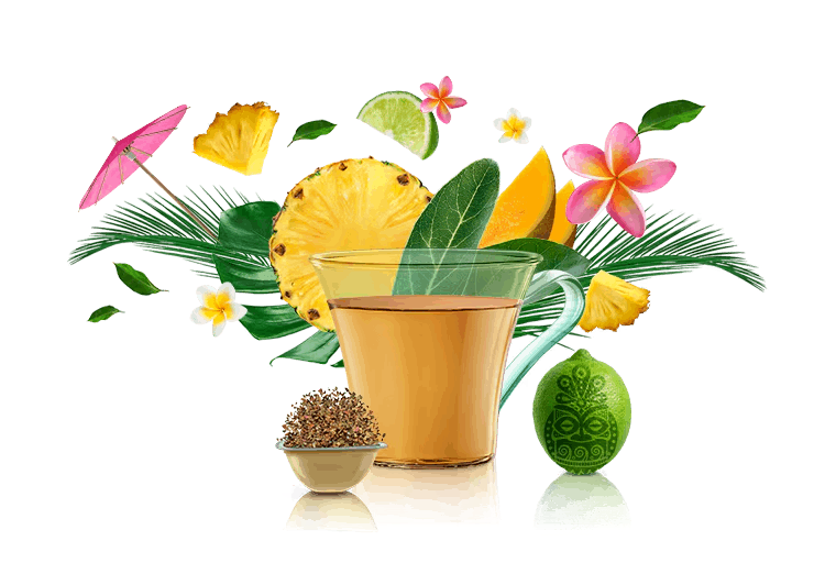  cup, capsule and ingredients