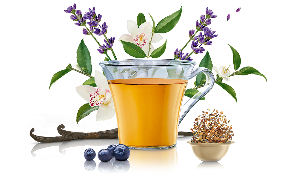  cup, capsule and ingredients