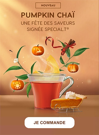 NL XL SmallboxDesktop