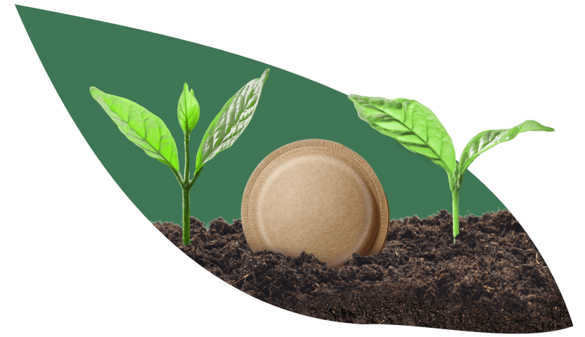 Pods de café à base de papier compostables à domicile