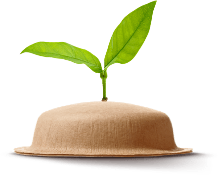 Pod NEO avec une feuille verte