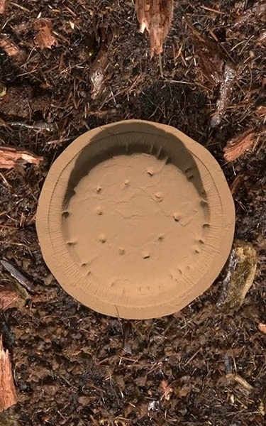 terre compostée