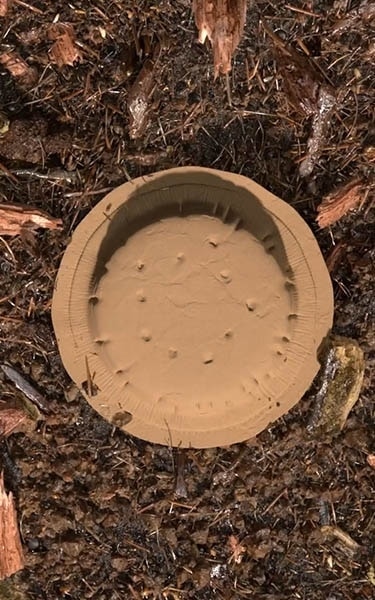 terre compostée