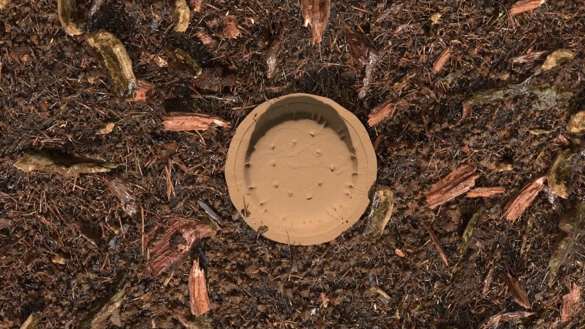 terre compostée