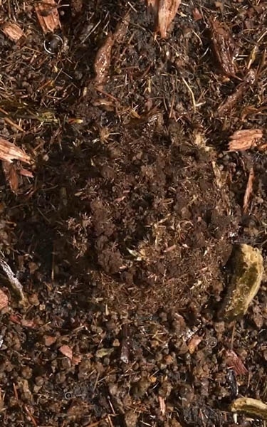 terre compostée