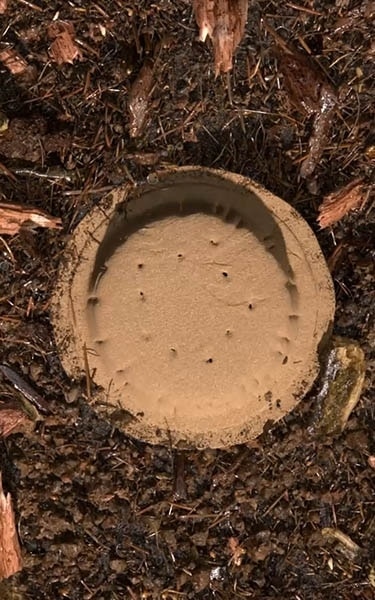 terre compostée