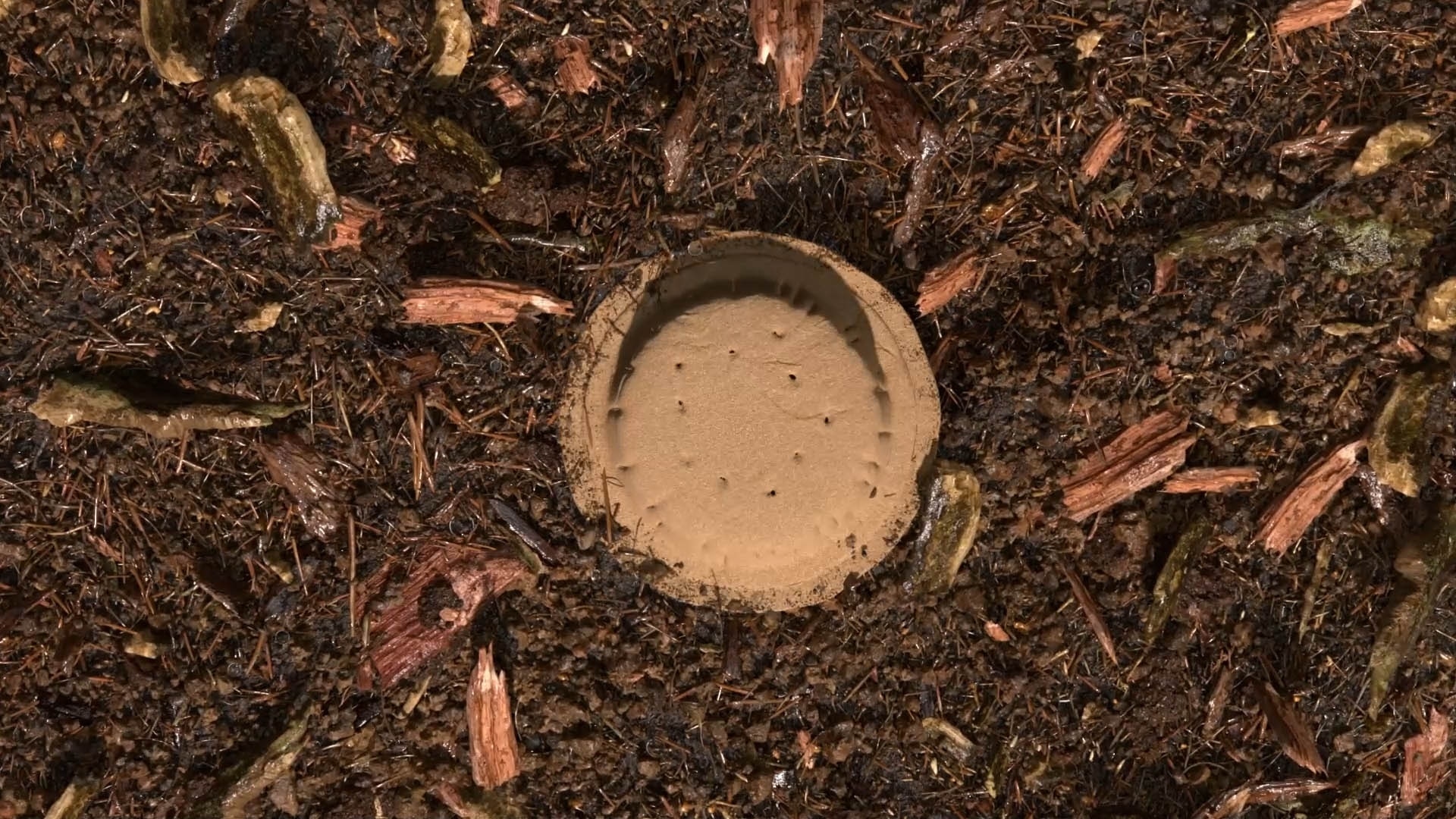 terre compostée