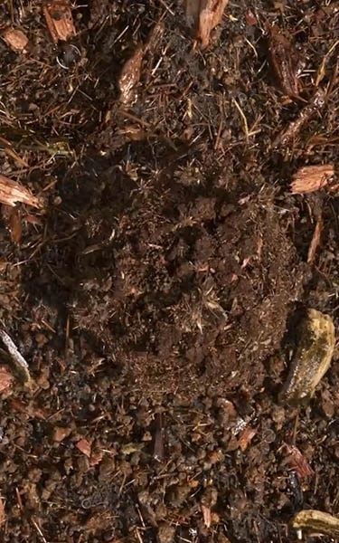 terre compostée