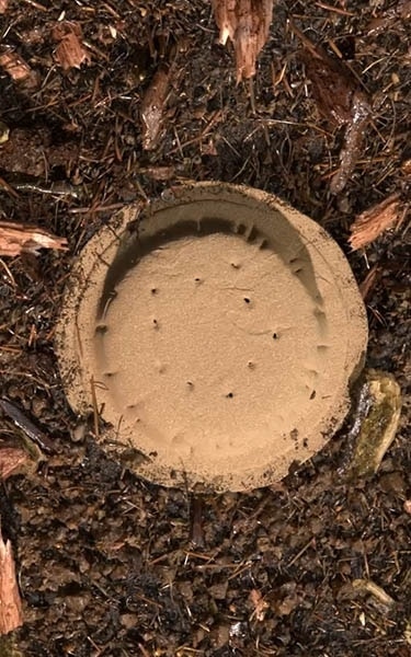 terre compostée