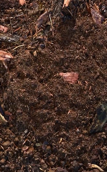 terre compostée