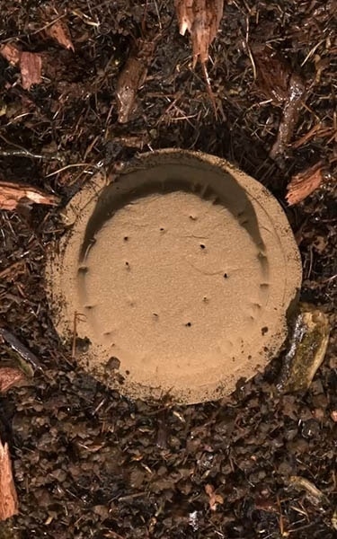 terre compostée