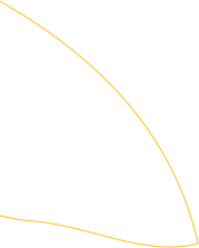 Leaf image