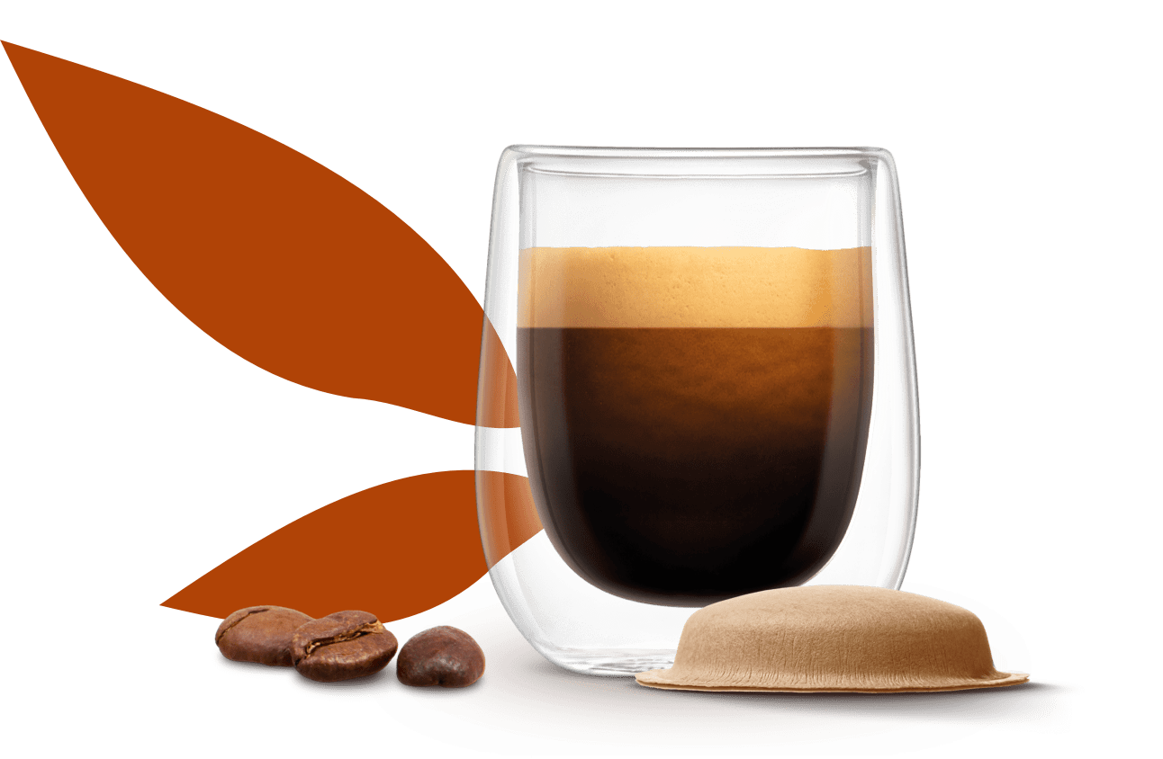 lungo dsktp 3x 4