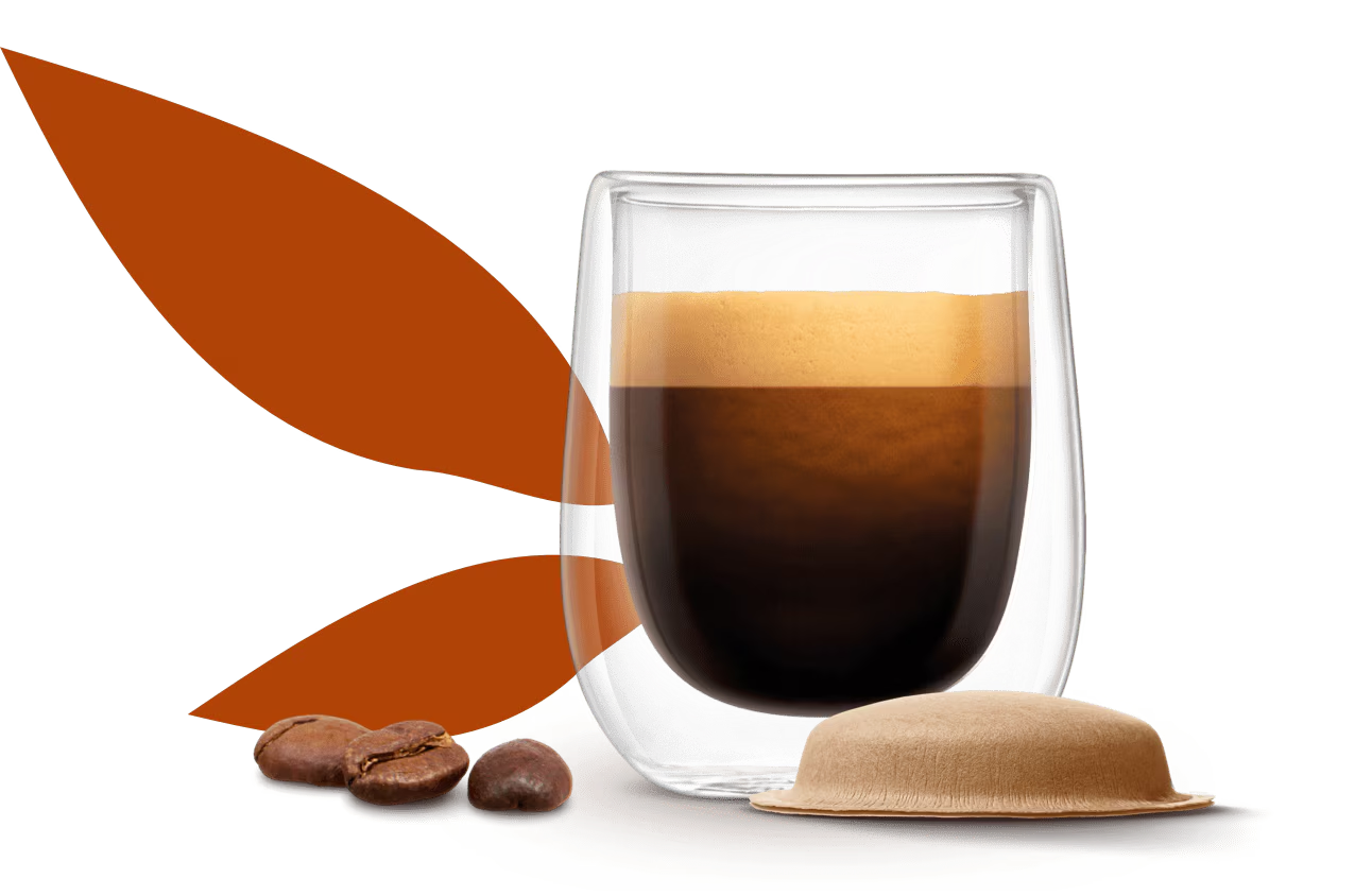 lungo dsktp 3x 4
